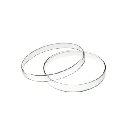 Boite de pétri en verre Ø 60